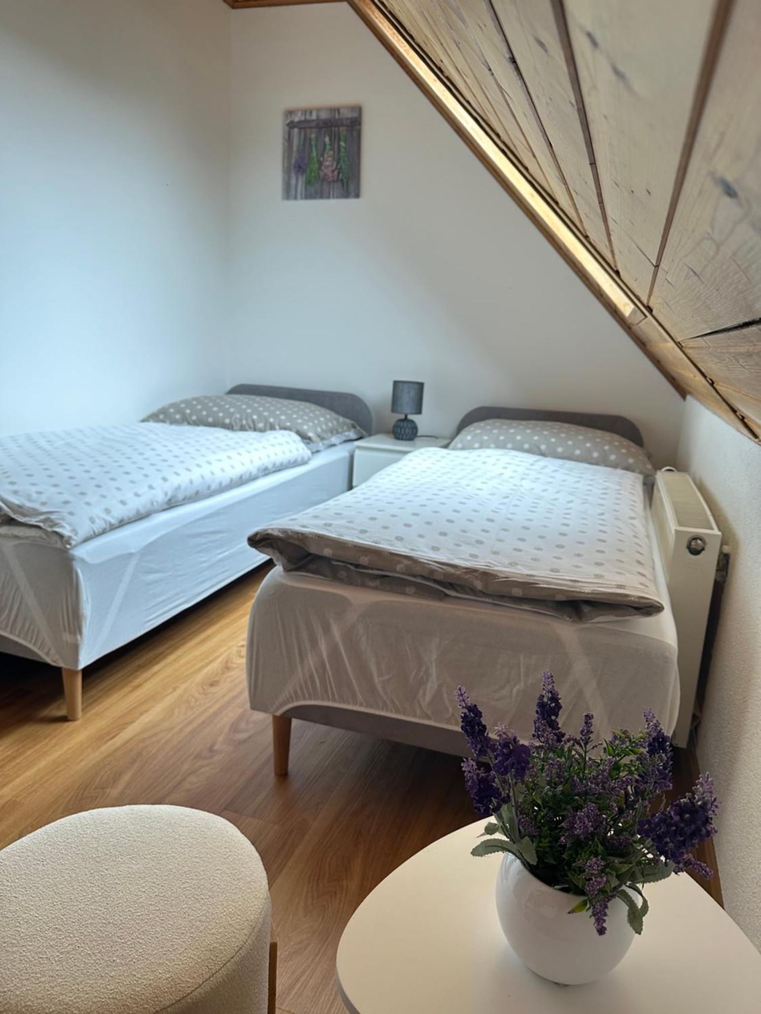 Tisá Apartman Jako U Babicky מראה חיצוני תמונה